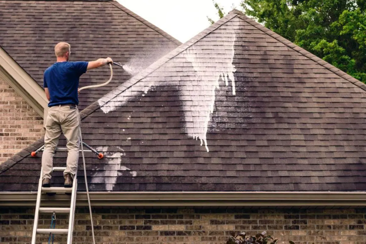 Why Roof Cleaning Service Is Your Home's Best Friend in Delaware