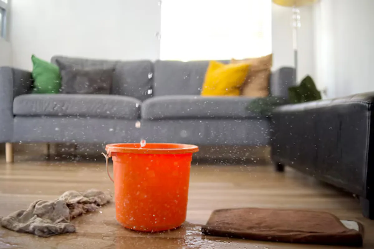 Leaking Roof Repair Service: Is That Drip About to Flood Your Delaware Living Room?