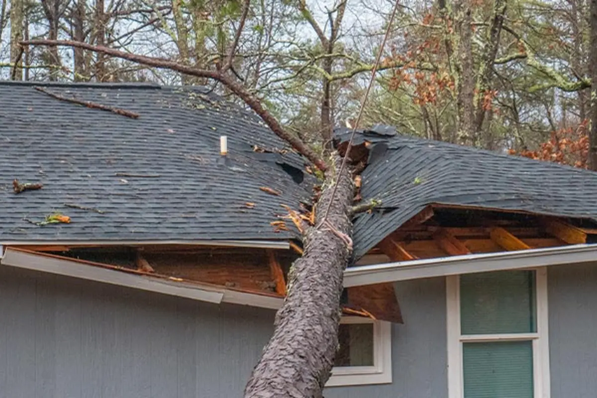 Storm Damage Roof Repair: Did Last Night’s Delaware Wind Just Shorten Your Roof’s Life by 10 Years?
