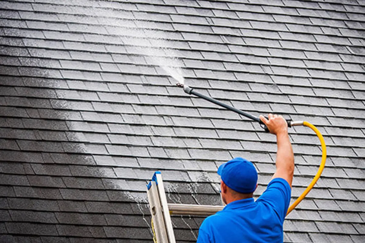 soft wash roof cleaning service