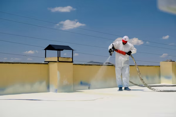 Roof Cleaning Service Near Me in Delaware